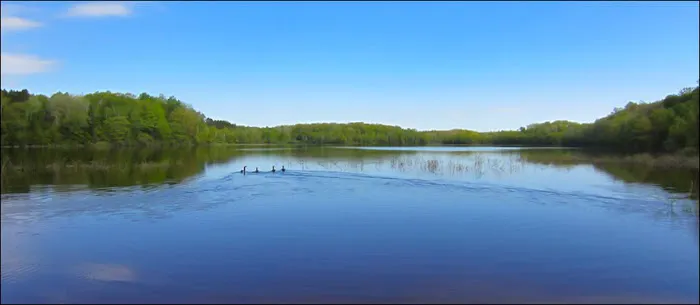 Drummond Lake Campground Picture 1