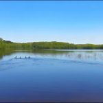 Drummond Lake Campground