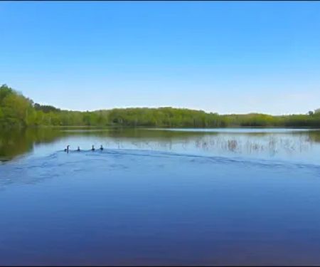 Drummond Lake Campground