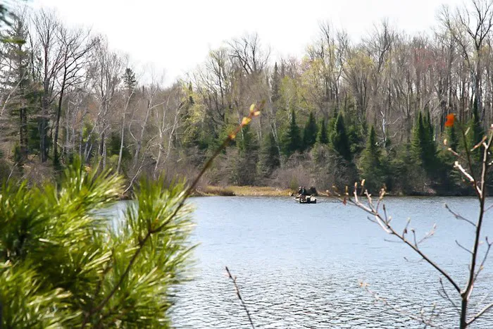 Drummond Lake Campground Picture 6