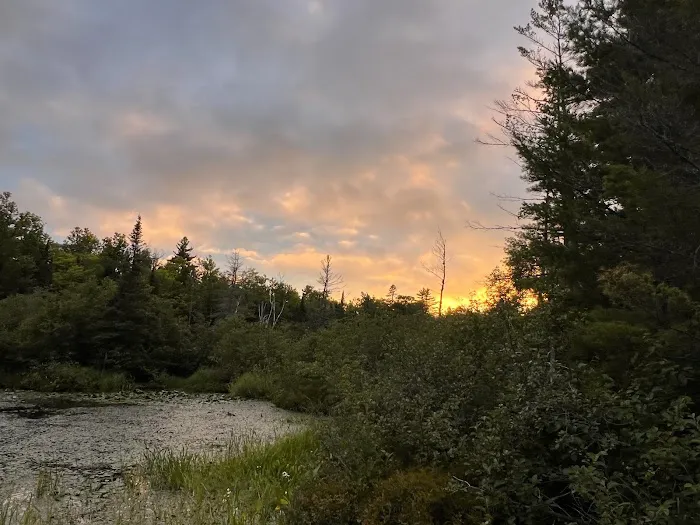 Perch Lake Campground Picture 4