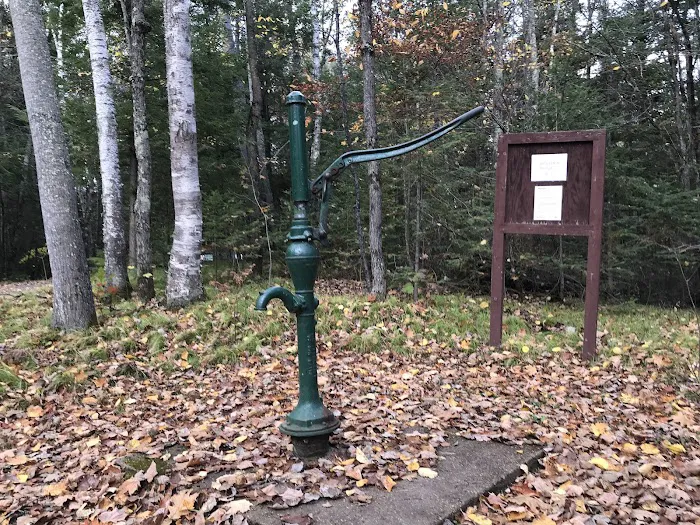 Perch Lake Campground Picture 3