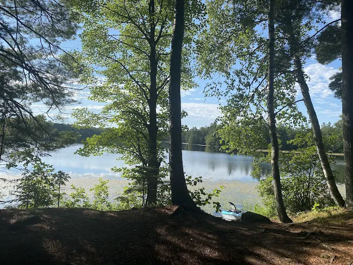 Perch Lake Campground Picture 7