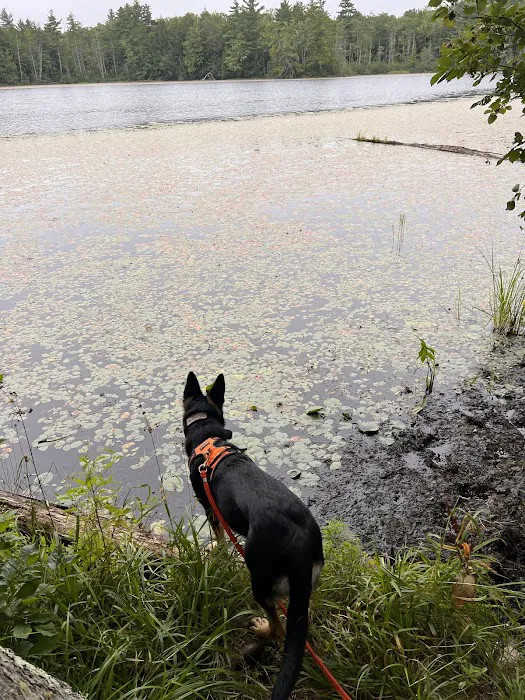 Perch Lake Campground Picture 9