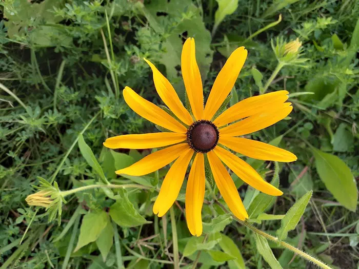 Washburn Ranger District Picture 4