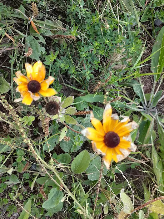 Washburn Ranger District Picture 6