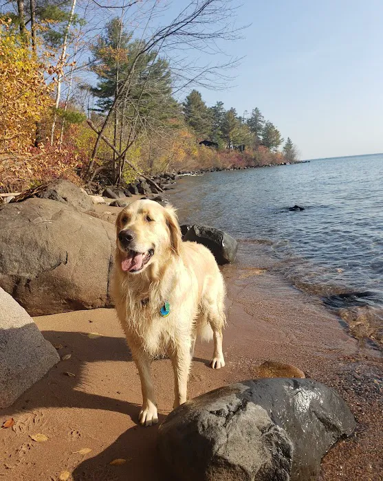 Memorial Park Campground Picture 7