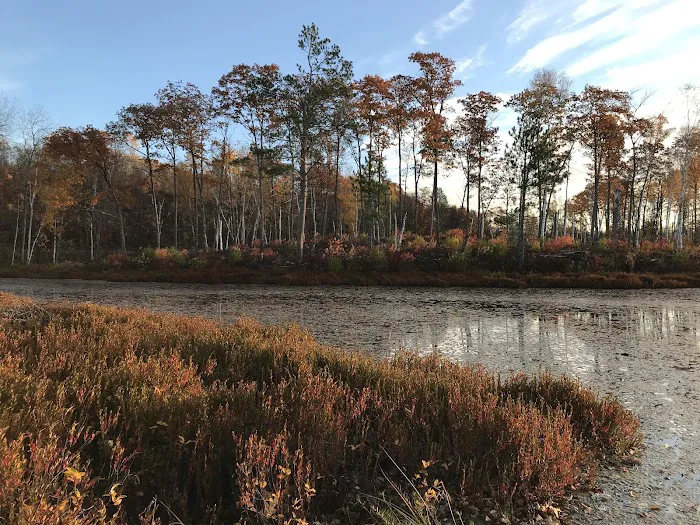 Birch Grove Campground Picture 9