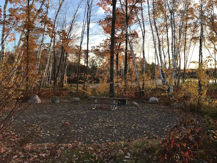 Birch Grove Campground Picture 10