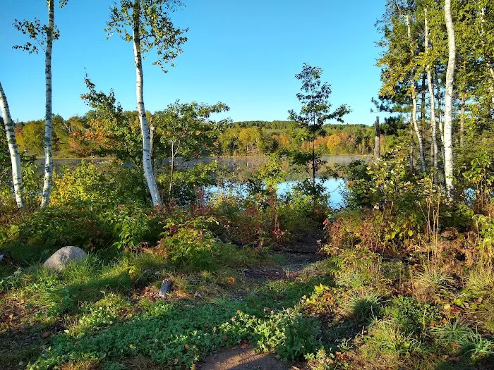 Birch Grove Campground Picture 3