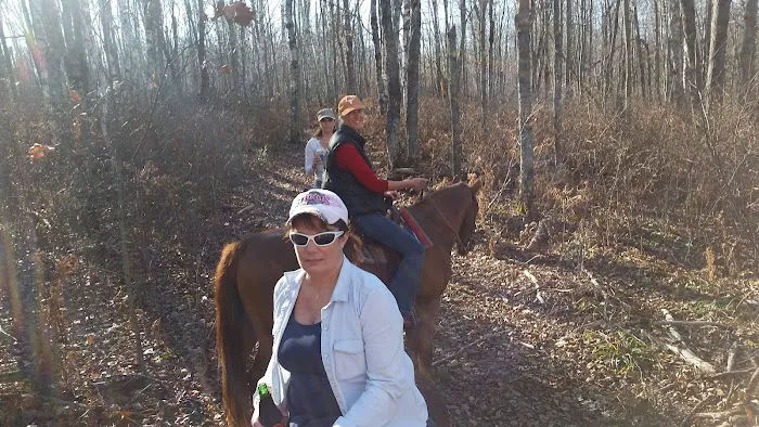 Horseshoe Lake Horse Campground Picture 1