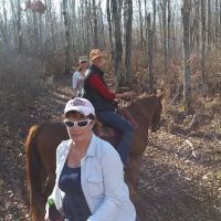 Horseshoe Lake Horse Campground ico