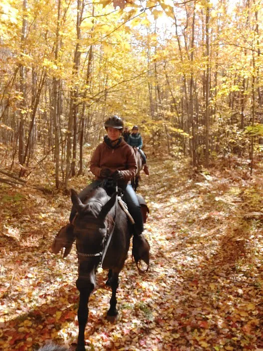 Horseshoe Lake Horse Campground Picture 8