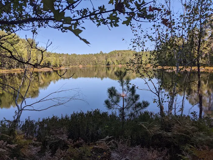 Horseshoe Lake Horse Campground Picture 3