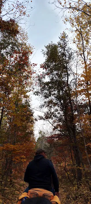 Horseshoe Lake Horse Campground Picture 7