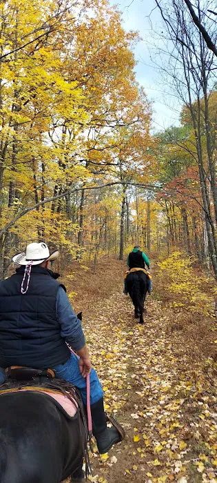 Horseshoe Lake Horse Campground Picture 9