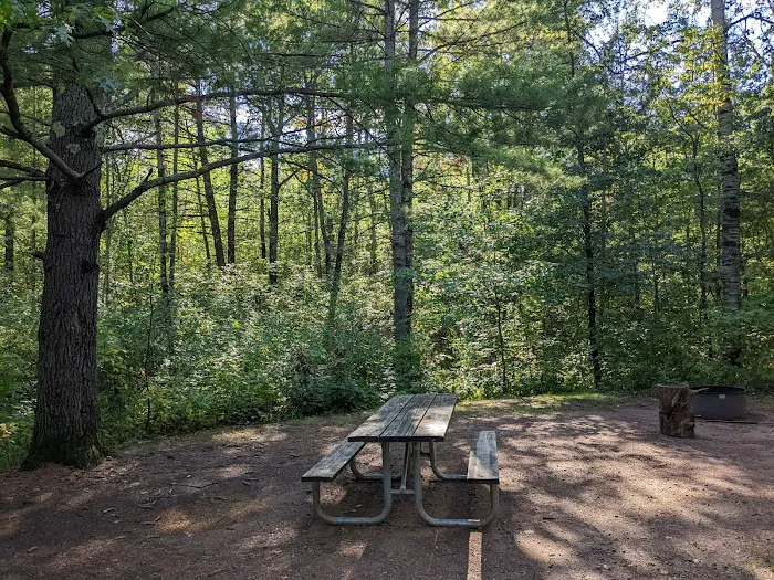 Wanoka Lake Campground Picture 2