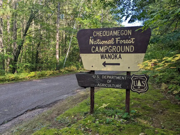 Wanoka Lake Campground Picture 3