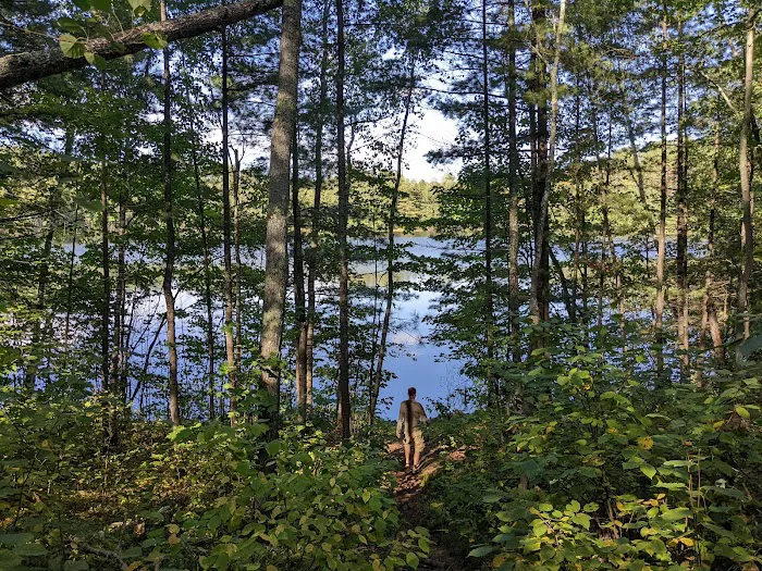 Wanoka Lake Campground Picture 7