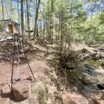 Sailor Springs Glamping