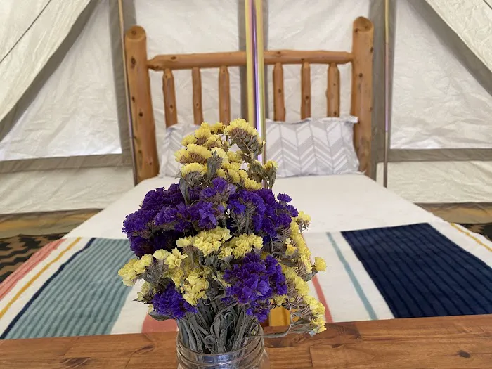 Sailor Springs Glamping Picture 8