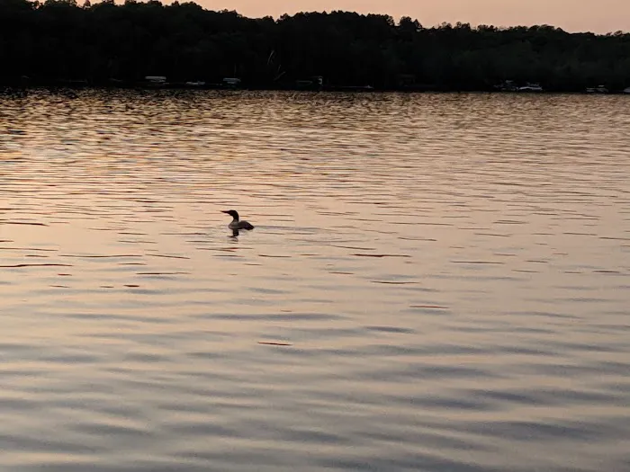 Enchanted Inn Picture 6