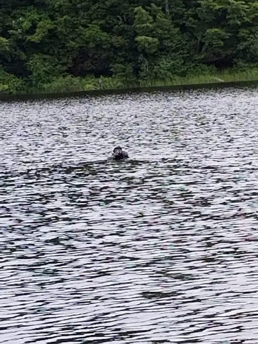 Mirror Lake 8 Cabin Picture 8