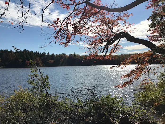 Mirror Lake 8 Cabin Picture 3