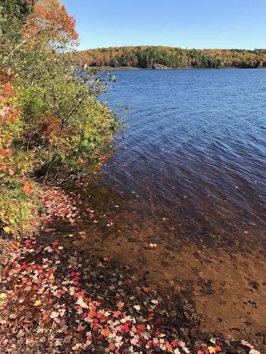 Mirror Lake 8 Cabin Picture 4