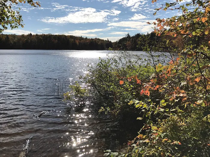 Mirror Lake 8 Cabin Picture 6