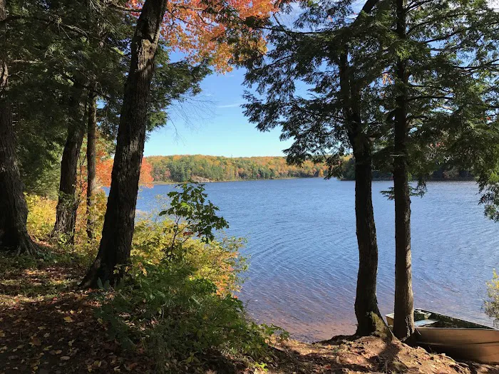 Mirror Lake 8 Cabin Picture 2