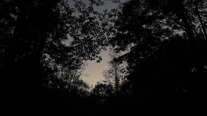 White Pine Extension Outpost Picture 2