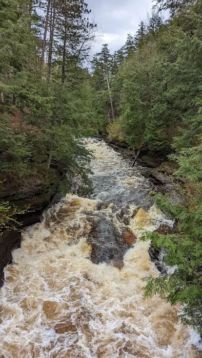 White Pine Extension Outpost Picture 5