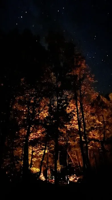 White Pine Extension Outpost Picture 4