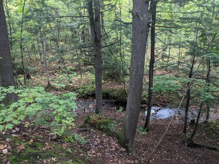 Lost Creek Outpost Campground Picture 1