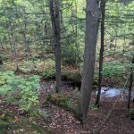 Lost Creek Outpost Campground