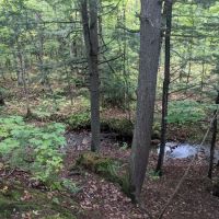 Lost Creek Outpost Campground ico