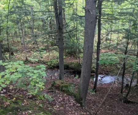 Lost Creek Outpost Campground