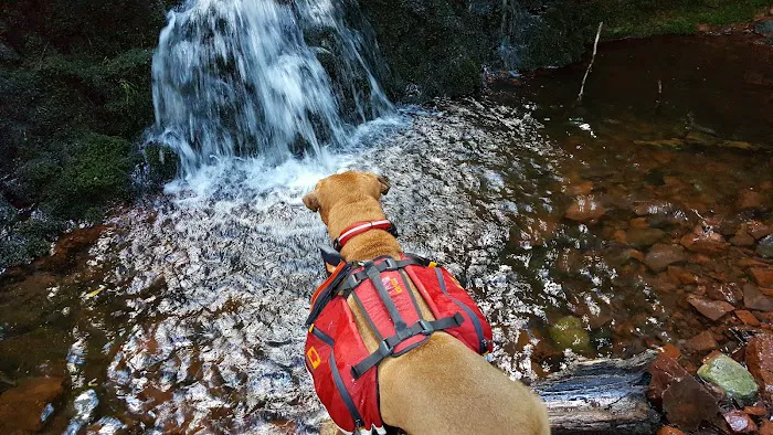 Lost Creek Outpost Campground Picture 9