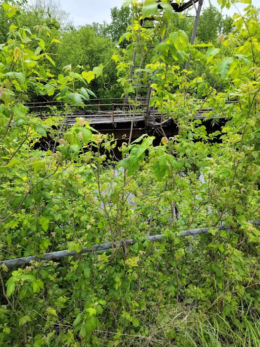 Katy Roundhouse Picture 10