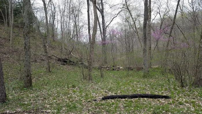 Turkey Pen Hollow Backpack Camp Picture 1