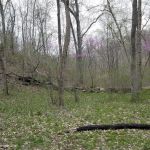 Turkey Pen Hollow Backpack Camp