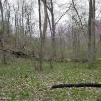 Turkey Pen Hollow Backpack Camp ico