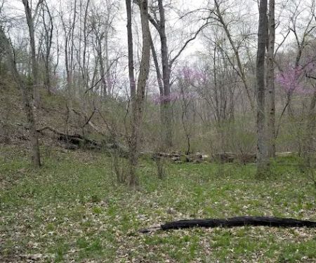 Turkey Pen Hollow Backpack Camp