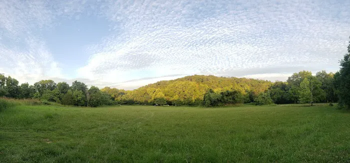 Bar-K Wrangler Campsite Picture 4