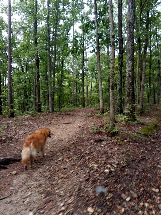 Cobb Ridge Campground Picture 6