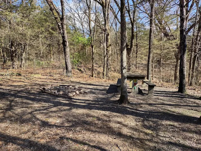 Overhang campsite Picture 2