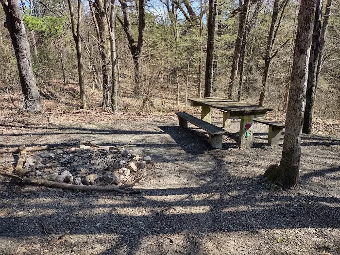 Overhang campsite Picture 6