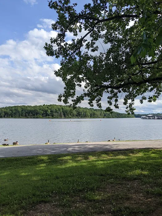 Highway 125 Park - Bull Shoals Lake Picture 7