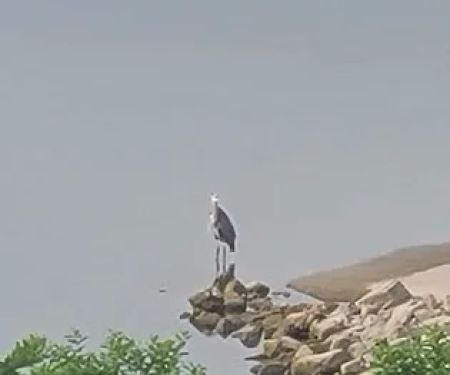 Buck Creek Park - Bull Shoals Lake